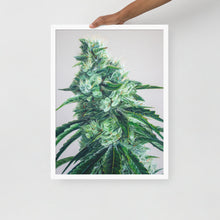 Load image into Gallery viewer, White Durban framed poster - white frame
