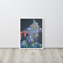 Load image into Gallery viewer, Khalifa Kush framed poster - white frame
