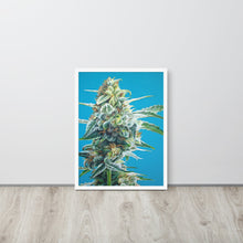 Load image into Gallery viewer, OG Kush framed poster - white frame
