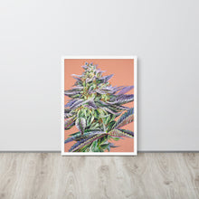 Load image into Gallery viewer, Mandarin Cookies framed poster - white frame
