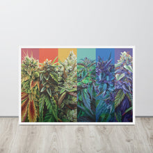 Load image into Gallery viewer, STRainbow framed 36x24 poster - white frame
