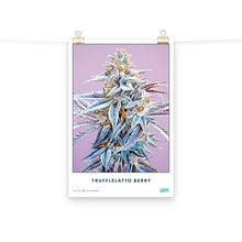 Load image into Gallery viewer, Collectible Trufflelatto Berry Poster
