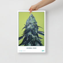 Load image into Gallery viewer, STRAIN NAME Animal Face Poster
