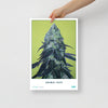 STRAIN NAME Animal Face Poster