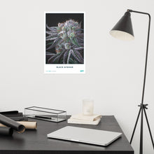 Load image into Gallery viewer, STRAIN NAME Black Afghan Poster
