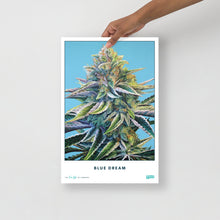 Load image into Gallery viewer, STRAIN NAME Blue Dream Poster
