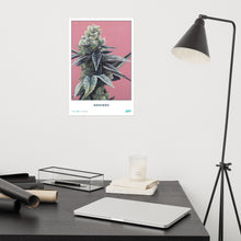 Load image into Gallery viewer, STRAIN NAME Dosidos Poster
