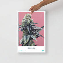 Load image into Gallery viewer, STRAIN NAME Dosidos Poster
