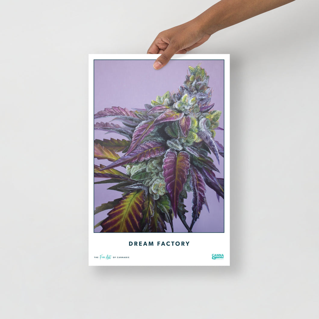 STRAIN NAME Dream Factory Poster