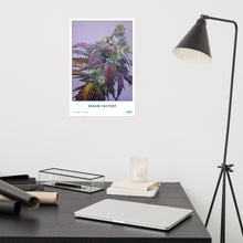 Load image into Gallery viewer, STRAIN NAME Dream Factory Poster
