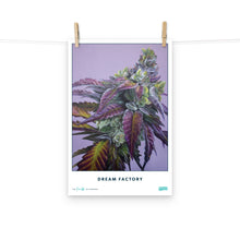 Load image into Gallery viewer, STRAIN NAME Dream Factory Poster
