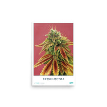 Load image into Gallery viewer, STRAIN NAME Gorilla Zkittlez Poster
