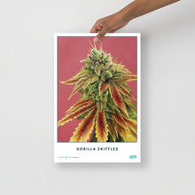 Load image into Gallery viewer, STRAIN NAME Gorilla Zkittlez Poster
