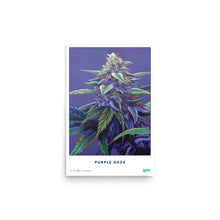 Load image into Gallery viewer, STRAIN NAME Purple Haze Poster
