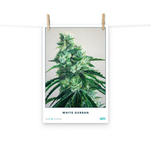 Load image into Gallery viewer, STRAIN NAME White Durban Poster
