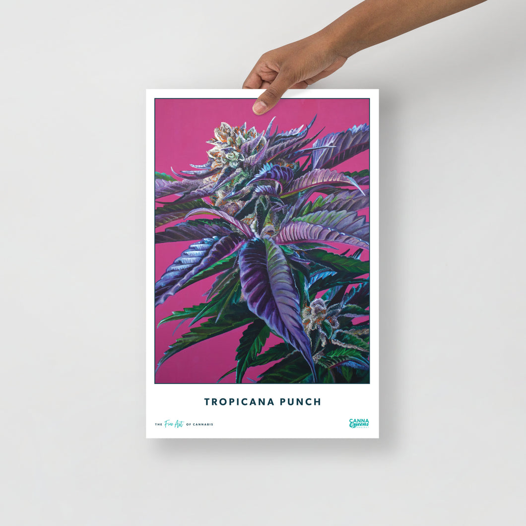 STRAIN NAME Tropicana Punch Poster