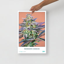 Load image into Gallery viewer, Collectible Mandarin Cookies Poster
