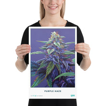 Load image into Gallery viewer, STRAIN NAME Purple Haze Poster
