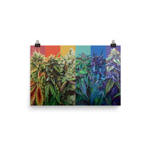 Load image into Gallery viewer, STRainbow 18x12 poster
