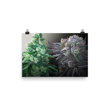 Load image into Gallery viewer, Day &amp; Night 18x12 poster
