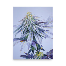 Load image into Gallery viewer, Cotton Candy Cookies 18x24 poster
