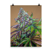 Load image into Gallery viewer, Mendo Breath 18x24 Poster
