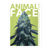 Animal Face stickers