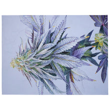 Load image into Gallery viewer, Cotton Candy Cookies cannabis throw blanket
