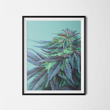 Load image into Gallery viewer, Girl Scout Cookie 18x24 Cannabis Poster

