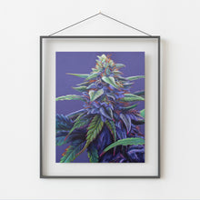 Load image into Gallery viewer, Purple Haze 8&quot;x10&quot; Print
