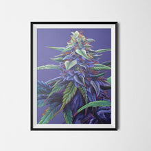 Load image into Gallery viewer, Purple Haze 18&quot;x24&quot; Poster
