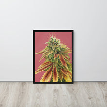 Load image into Gallery viewer, FRAMED 18x24 Gorilla Zkittles Poster
