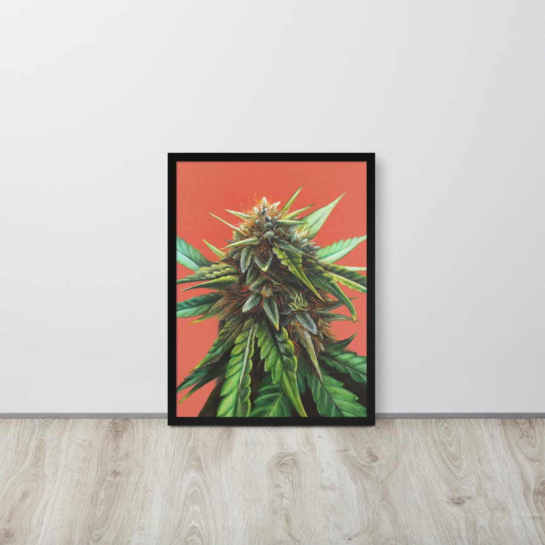 FRAMED 18x24 Wedding Glue Cannabis Poster