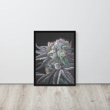 Load image into Gallery viewer, FRAMED 18x24 Black Afghan Weed Poster
