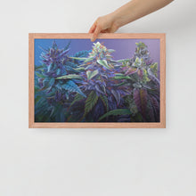 Load image into Gallery viewer, FRAMED 18&quot;x12&quot; PURPS - Purple Cannabis Print
