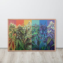 Load image into Gallery viewer, FRAMED STRainbow Cannabis Poster
