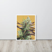 Load image into Gallery viewer, FRAMED 18x24 Super Lemon Haze Weed Poster
