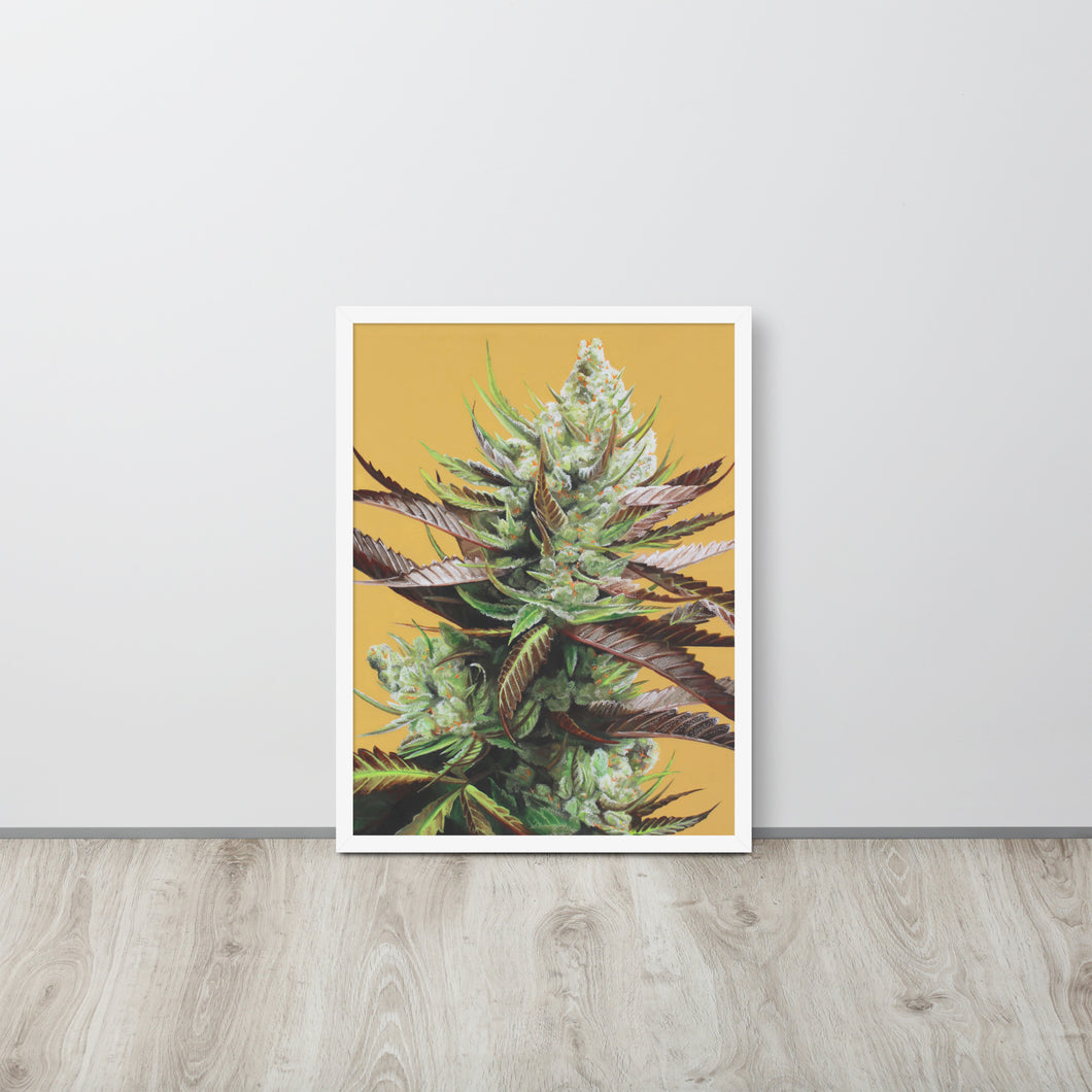 FRAMED 18x24 Super Lemon Haze Weed Poster