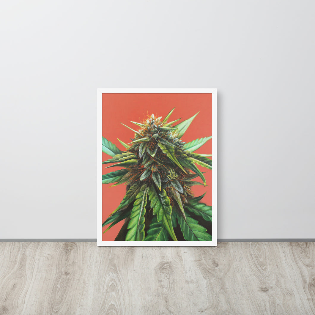 FRAMED 18x24 Wedding Glue Cannabis Poster