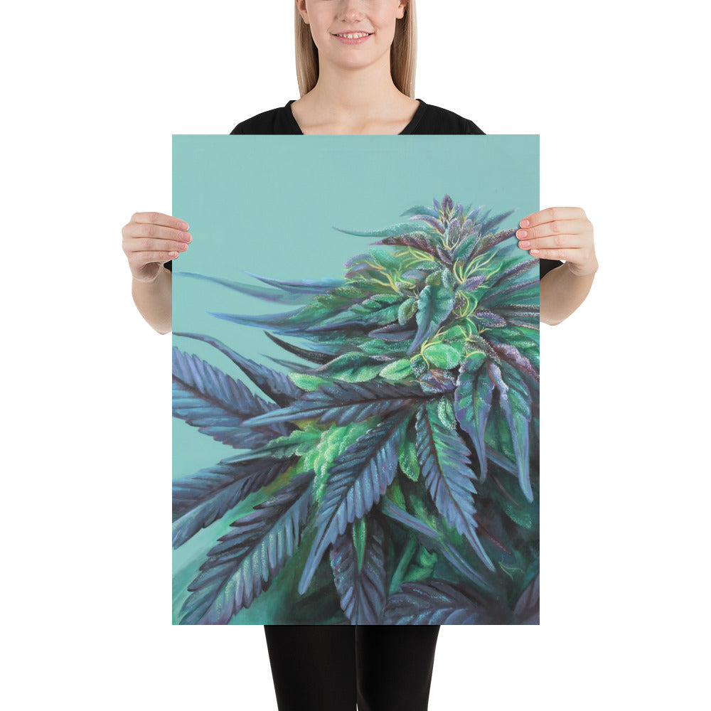 Girl Scout Cookie 18x24 Cannabis Poster
