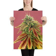 Load image into Gallery viewer, Gorilla Zkittlez 18&quot;x24&quot; Poster
