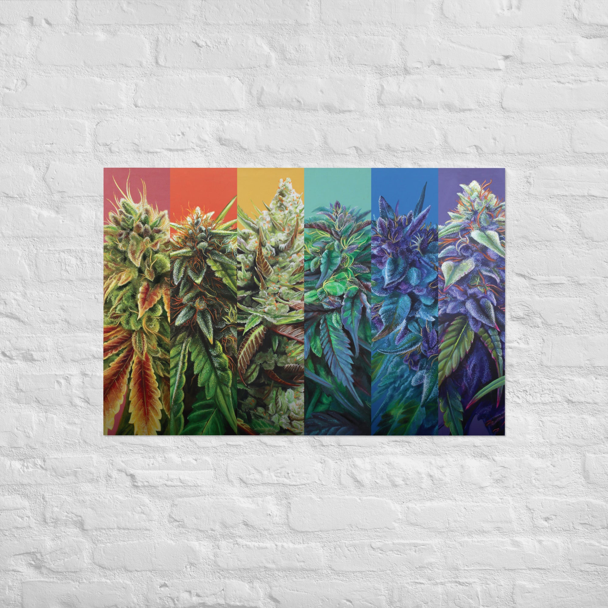 STRainbow Cannabis 36x24 Poster