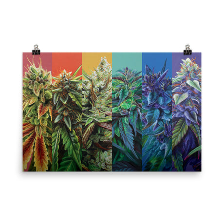 STRainbow Cannabis 36x24 Poster