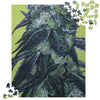 Animal Face Jigsaw Puzzle